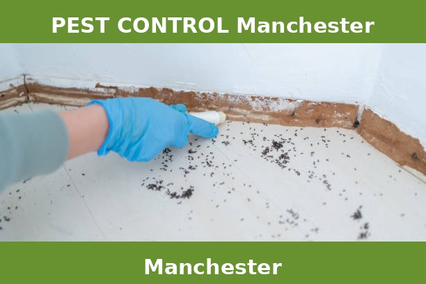 PEST CONTROL Manchester